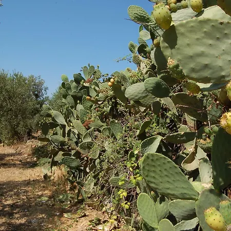 La Concordia Casa di campagna *
